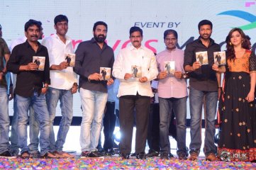 Pantham Audio Release Function